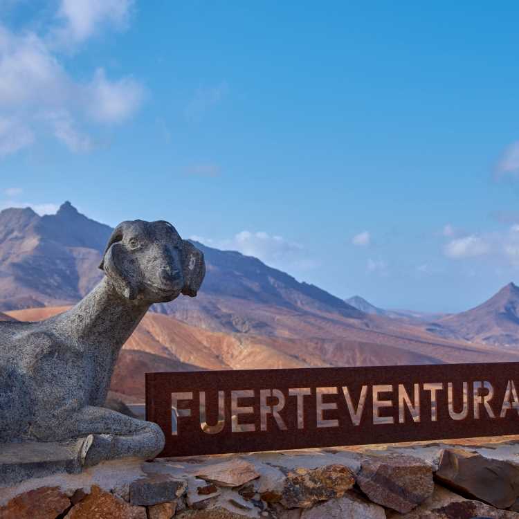 Autotransport nach Fuerteventura